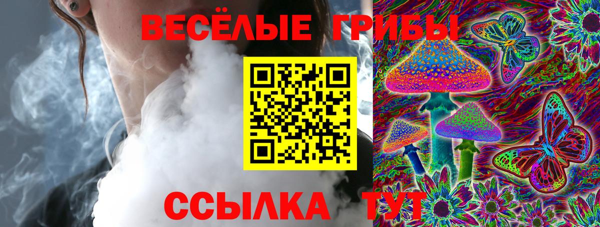 закладки  Псилоцибиновые грибы мухоморы  Вход с VPN  Удомля 
