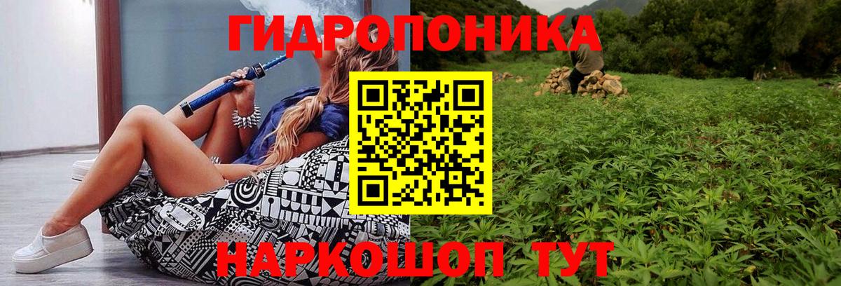 Канабис MAZAR  Вход с VPN  Каннабис THC 21%  Удомля  Канабис SATIVA & INDICA 